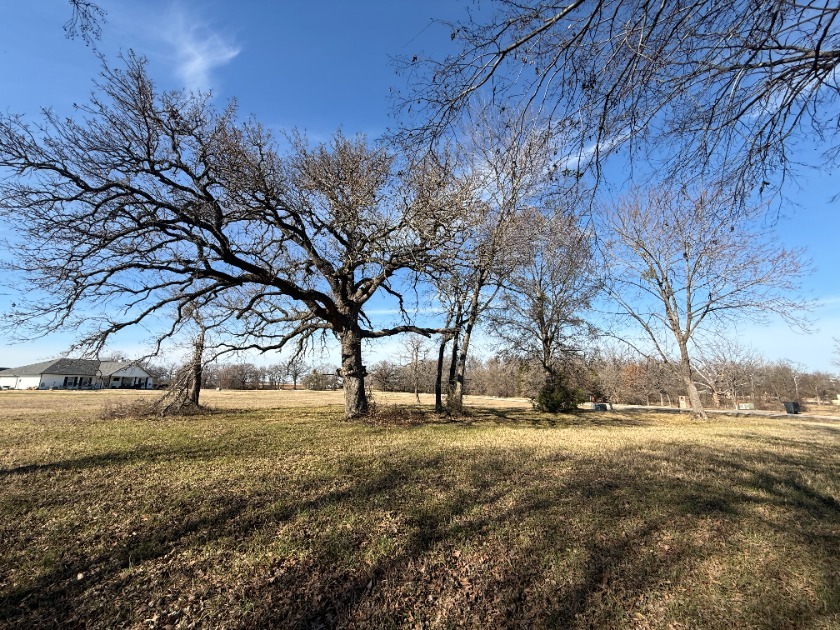 1 Acre Lake Subdivision Lot - The Shores - Corsicana, TX - photo 10