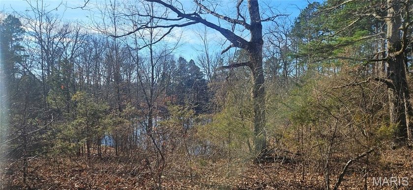 9.4 acres m/l of wooded land located just outside of the city - photo 11