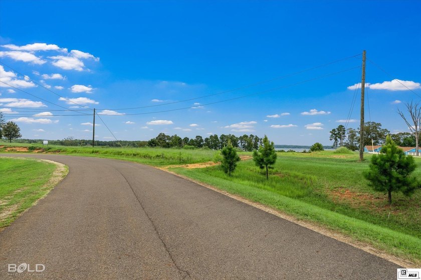 Build your dream lake home on beautiful Lake D'Arbonne! Lot 2 in - photo 3