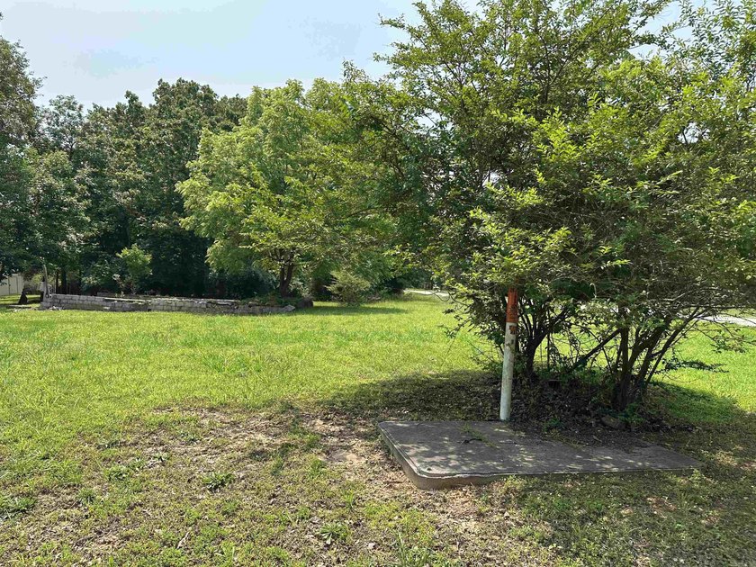 If you've been searching for a ready-to-build lot near Bull - photo 5