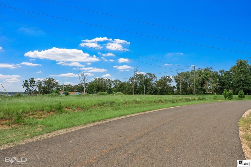 Build your dream lake home on beautiful Lake D'Arbonne! Lot 2 in - photo 5