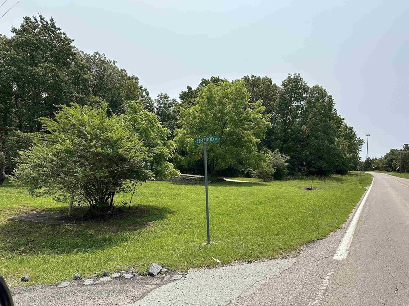 If you've been searching for a ready-to-build lot near Bull - photo 7
