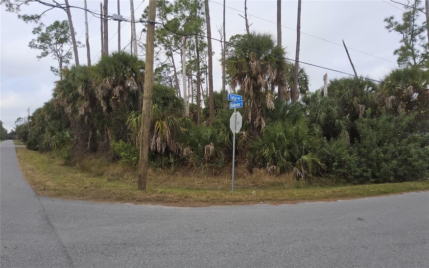 Build your dream home on this oversized corner residential lot - photo 3