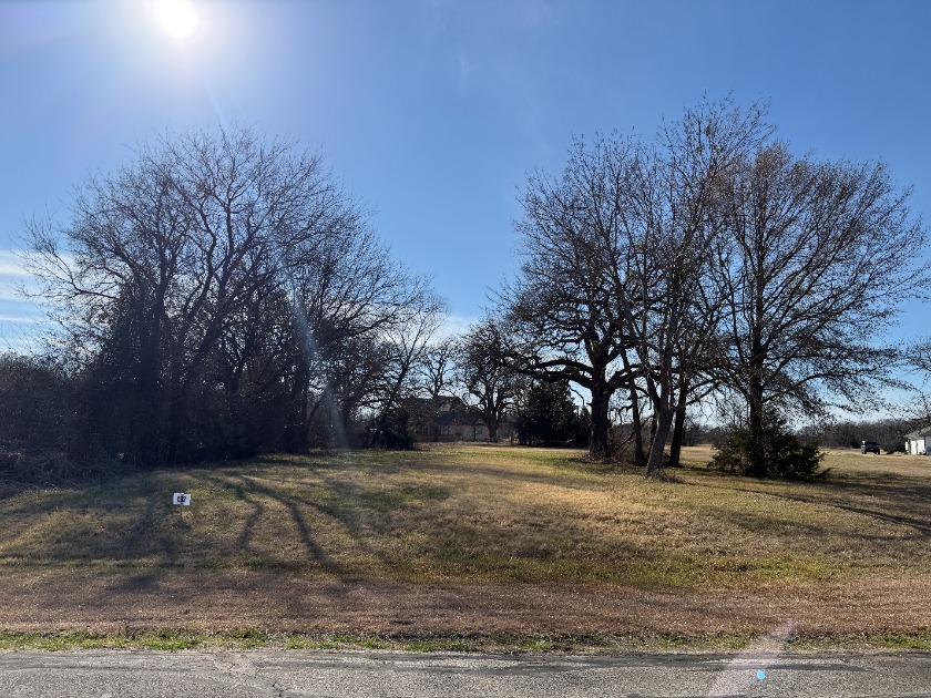 1 Acre Lake Subdivision Lot - The Shores - Corsicana, TX - photo 7