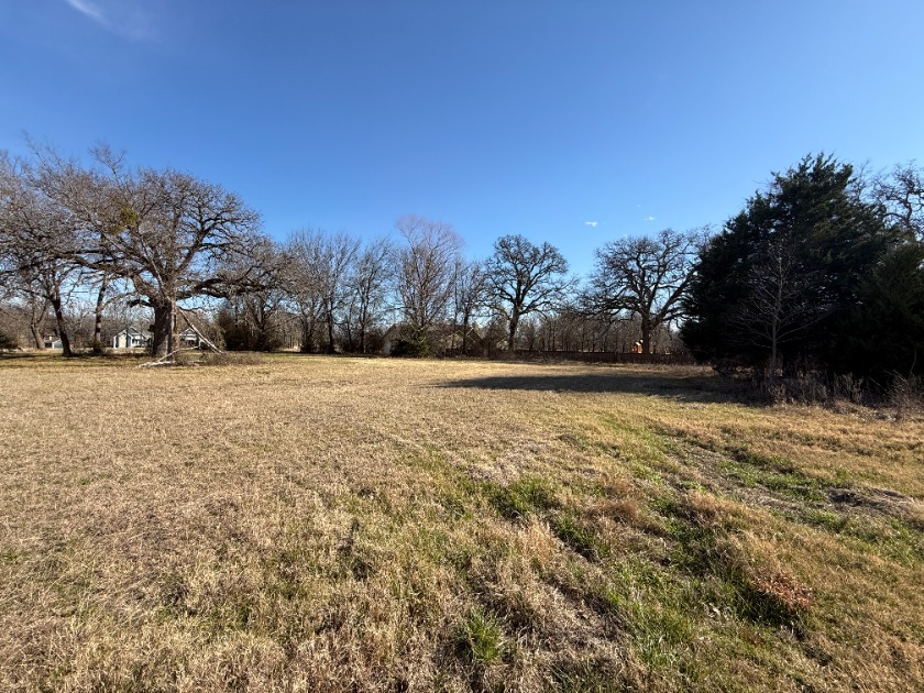 1 Acre Lake Subdivision Lot - The Shores - Corsicana, TX - photo 13