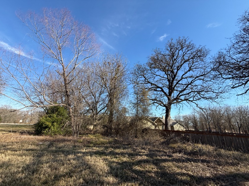 1 Acre Lake Subdivision Lot - The Shores - Corsicana, TX - photo 17