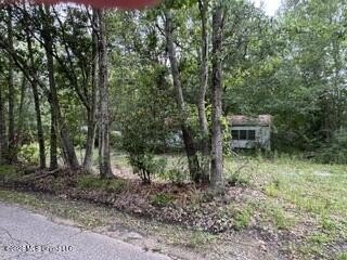 2.1 acres of Prime Location Property minutes from Local shopping - photo 11