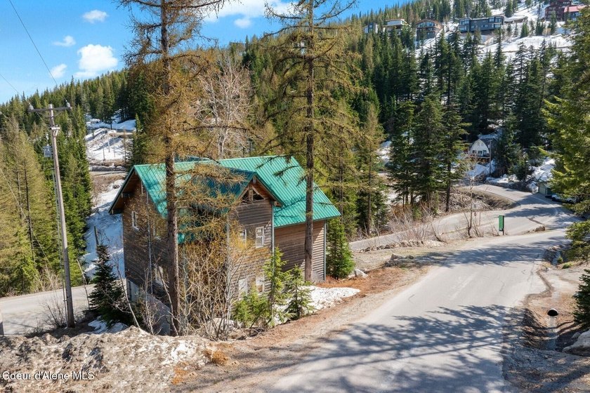 Imagine the possibilities of completing your dream ski retreat! - photo 45