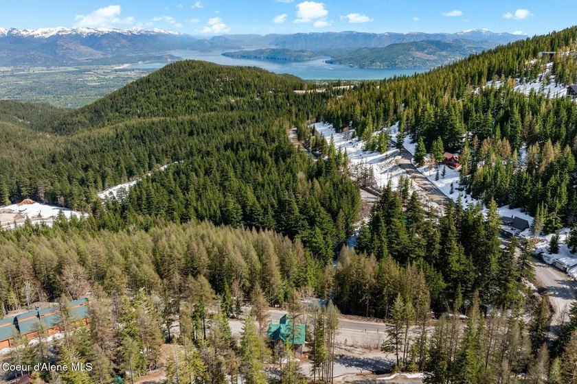 Imagine the possibilities of completing your dream ski retreat! - photo 46