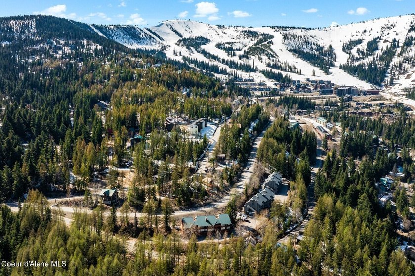 Imagine the possibilities of completing your dream ski retreat! - photo 47