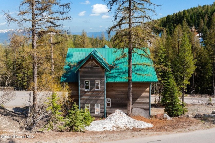 Imagine the possibilities of completing your dream ski retreat! - photo 49