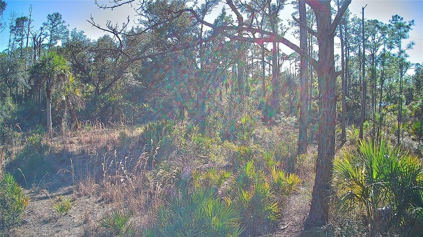 Incredible opportunity to own a residential lot in the growing - photo 4