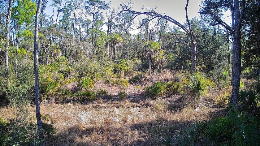 Incredible opportunity to own a residential lot in the growing - photo 5