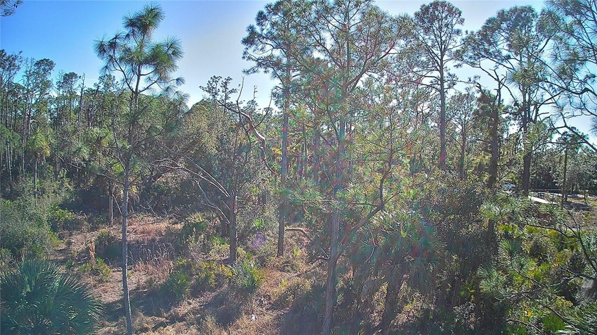 Incredible opportunity to own a residential lot in the growing - photo 6