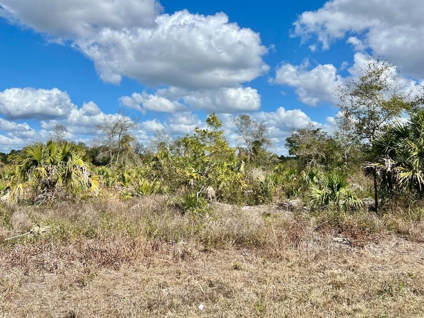 This exceptional 50-acre parcel presents a rare opportunity to - photo 7