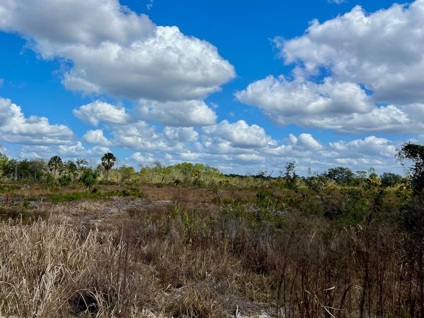 This exceptional 50-acre parcel presents a rare opportunity to - photo 9