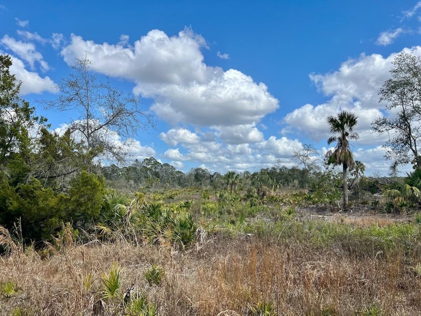 This exceptional 50-acre parcel presents a rare opportunity to - photo 10