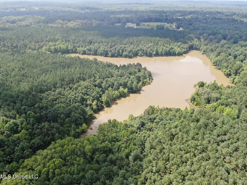 A prime investment opportunity with approximately 205 acres of - photo 7