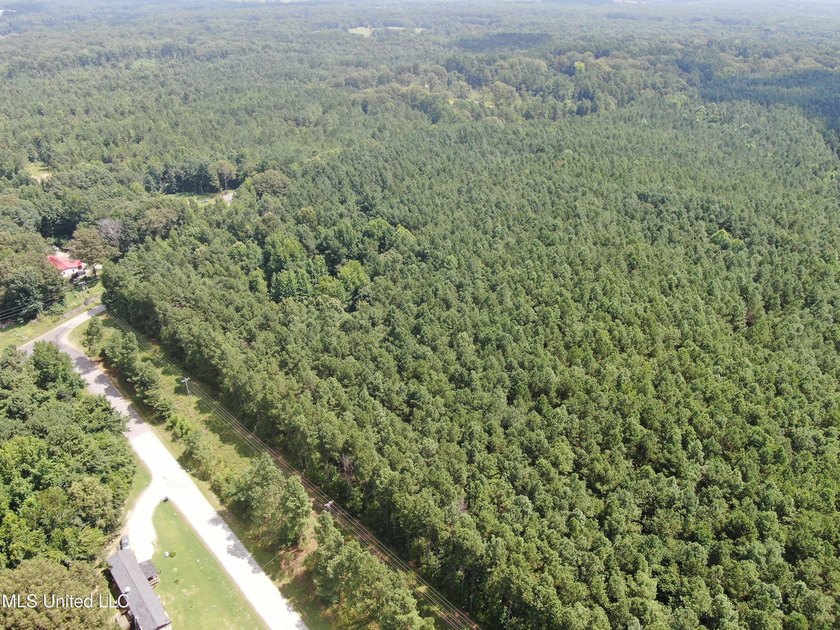 A prime investment opportunity with approximately 205 acres of - photo 9