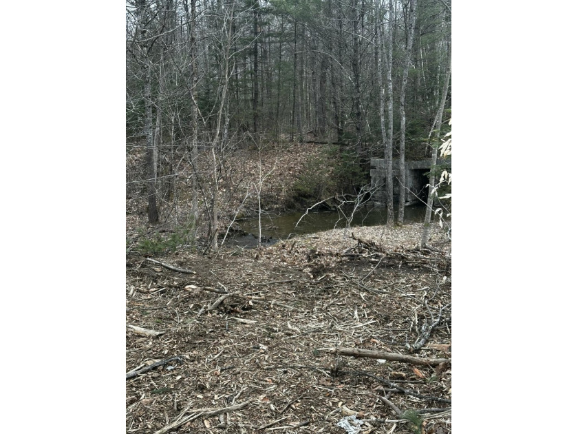 A beautiful lot with a stream and a unique rock bridge in the - photo 8