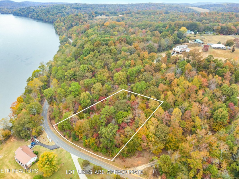 Awsome 1st tier Lakeview lot with great ''Unblockable SUNRISE - photo 4
