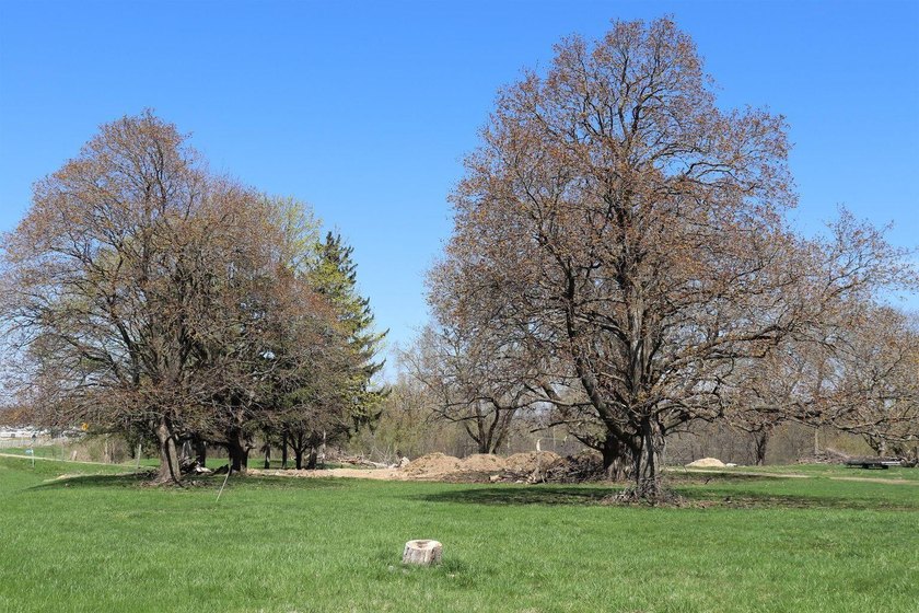 Large Lot and Perfect Location between Lake Geneva and Williams - photo 16