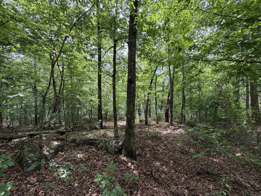 Escape to a truly remote lakeside hideaway spanning 5 acres and - photo 4