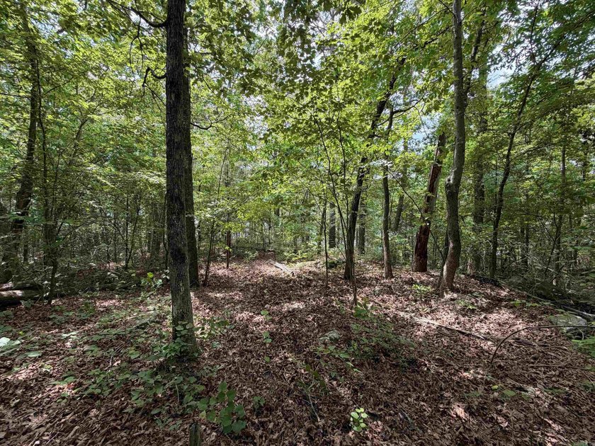 Escape to a truly remote lakeside hideaway spanning 5 acres and - photo 5