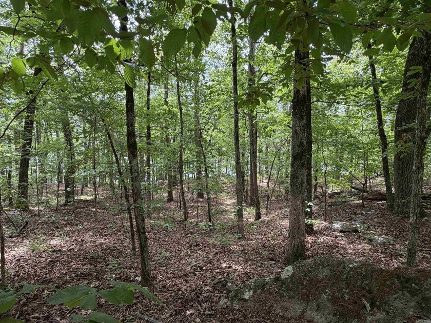 Escape to a truly remote lakeside hideaway spanning 5 acres and - photo 6