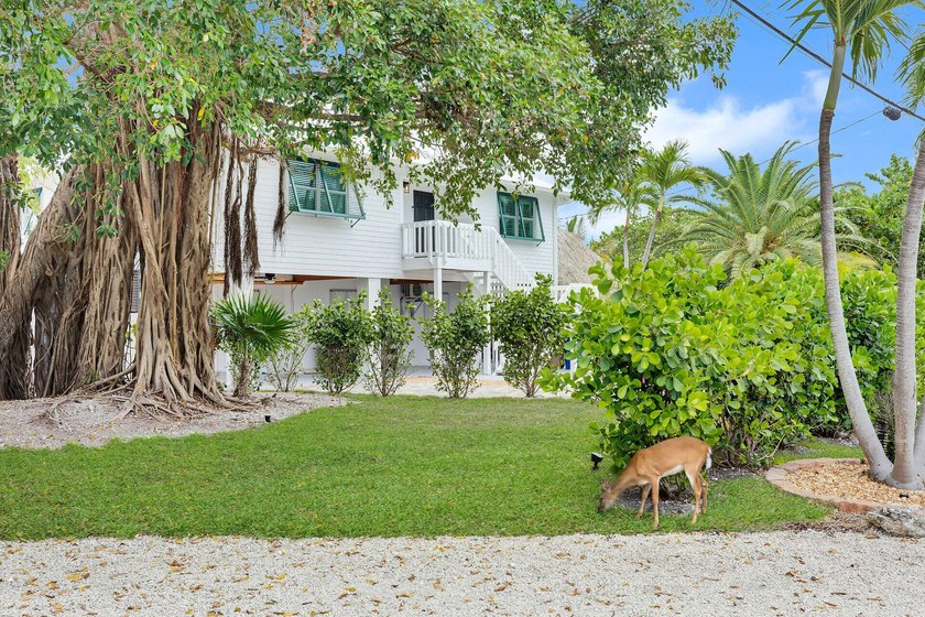 The Angler's Retreat -- Big Pine Key Resort-style canal front - photo 5
