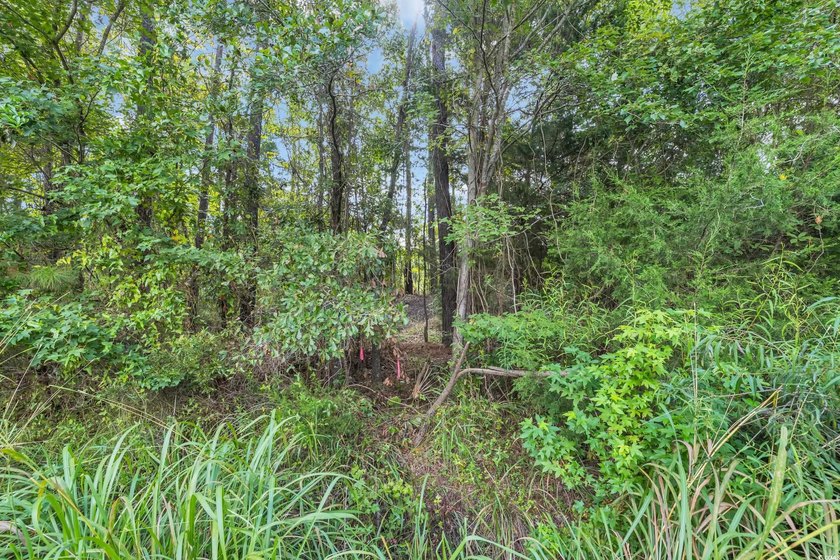 Welcome to Creekbend Road! Discover the perfect blend of peace - photo 2