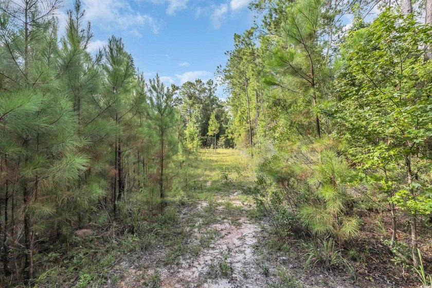 Welcome to Creekbend Road! Discover the perfect blend of peace - photo 4