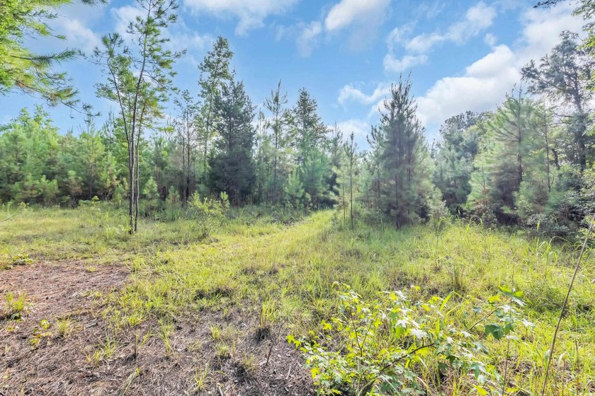 Welcome to Creekbend Road! Discover the perfect blend of peace - photo 5