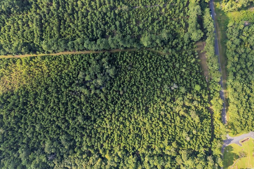 Welcome to Creekbend Road! Discover the perfect blend of peace - photo 7