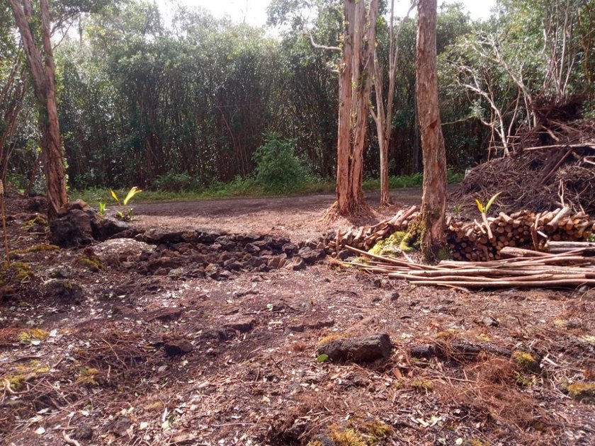 LUSH, CLEARED LOT IN FERTILE LOWER PUNA, HAWAII BIG ISLAND! - photo 5