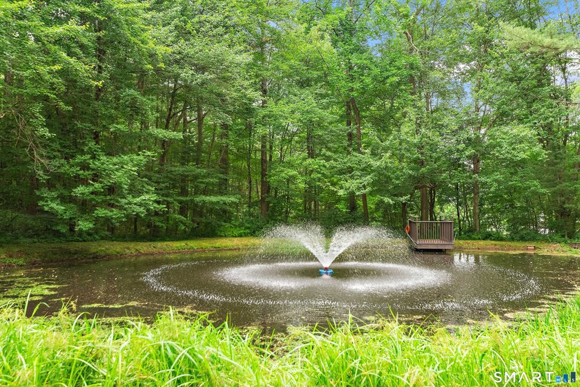 Welcome to this beautiful, private retreat at 15 Woodland Drive - photo 34
