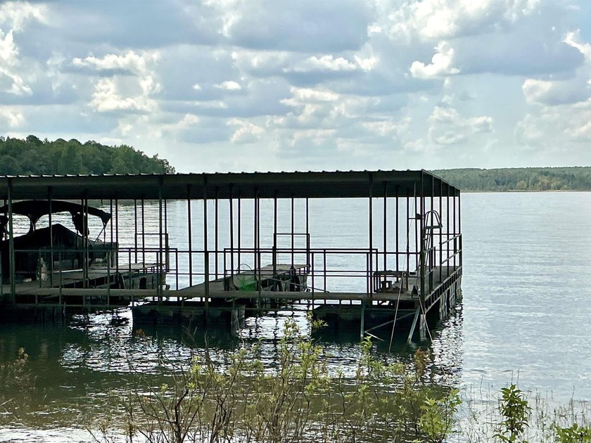 Beautiful Lakefront Country Home with Boat slip on 2.43 acres - photo 42