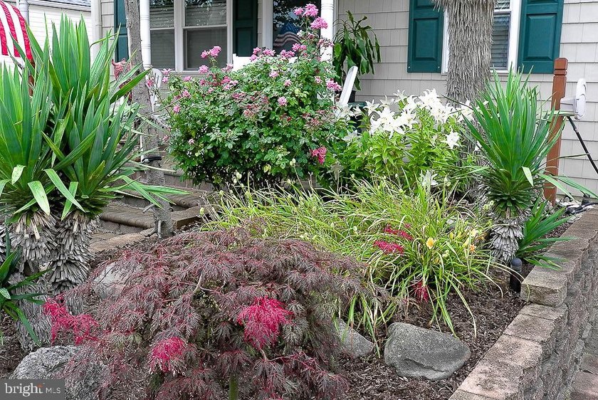 Longport, on the southern tip of *The Pearl of Absecon Island* - photo 8