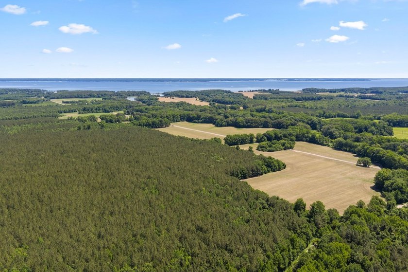 This 372-acre tract offers a rare opportunity to own a large - photo 5
