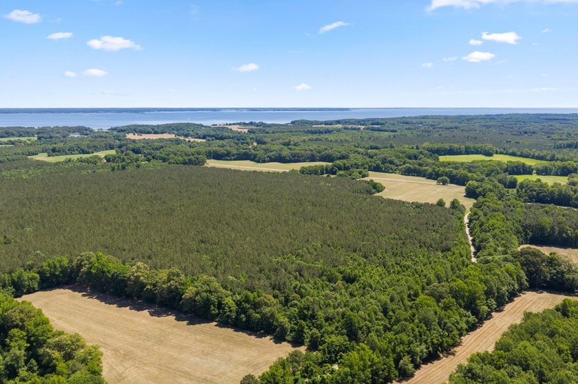 This 372-acre tract offers a rare opportunity to own a large - photo 6