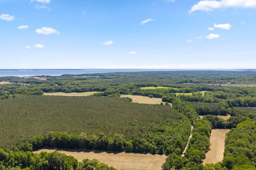 This 372-acre tract offers a rare opportunity to own a large - photo 7