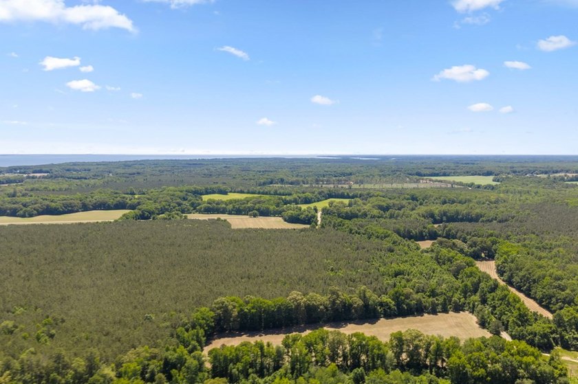This 372-acre tract offers a rare opportunity to own a large - photo 8