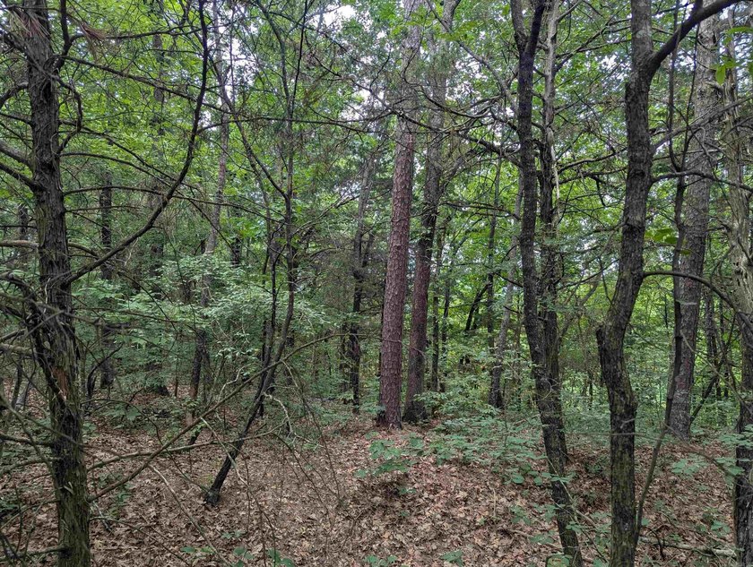 Looking for some Highway 16 road frontage, here are 10 acres of - photo 3