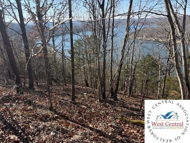 A rare and highly versatile 10.5+/- acre tract located in Camden - photo 12