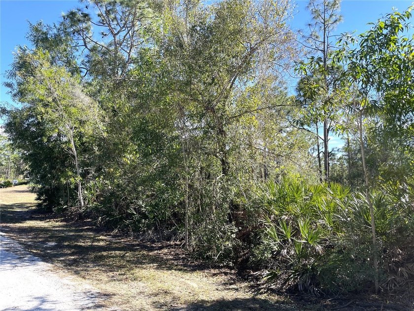 Under contract-accepting backup offers. Great opportunity! - photo 3