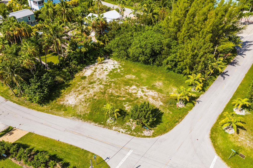 Build your Florida Keys dream home on this exceptional oversized - photo 5
