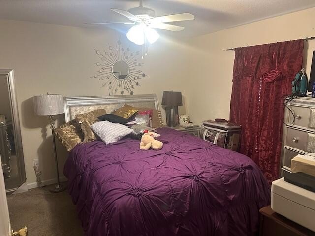 Cute cozy home in the heart of Indian River Estates! NO HOA - photo 7