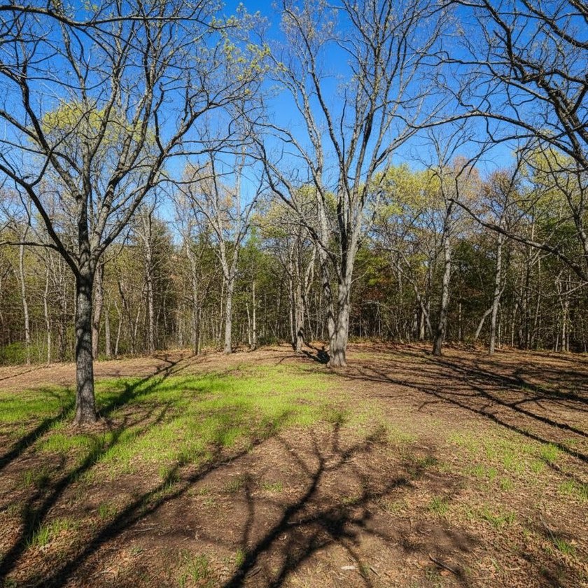 This 8 m/l-acre tract offers a great opportunity for a - photo 5