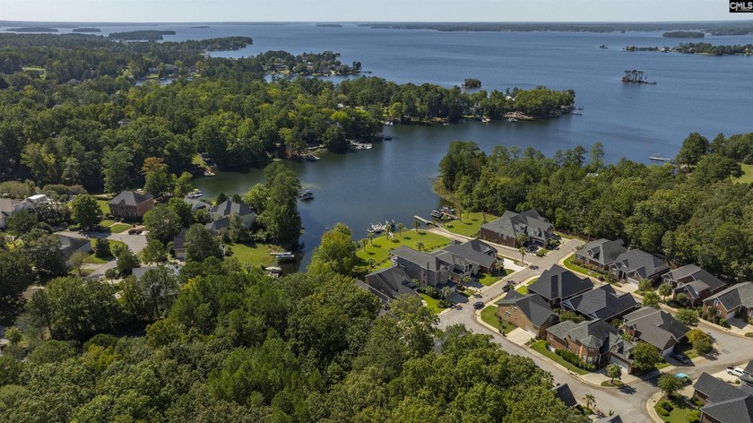 This beautiful home has a Columbia address/Irmo area on Lake - photo 3