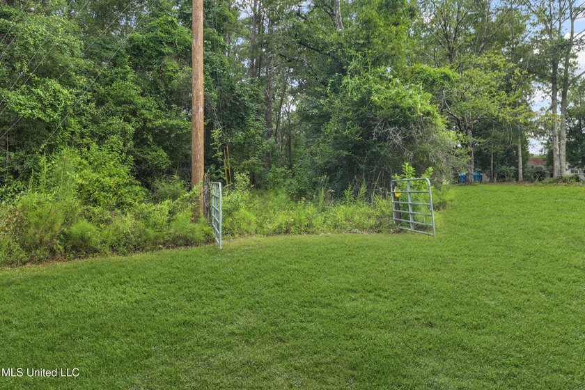 74.8 acres of beautiful property with oaks, magnolias, pines &amp; - photo 7